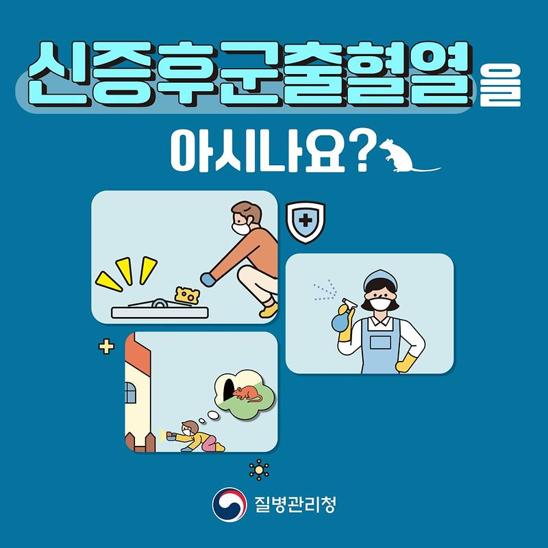 쥐 매개 감염병 예방 안내 사진